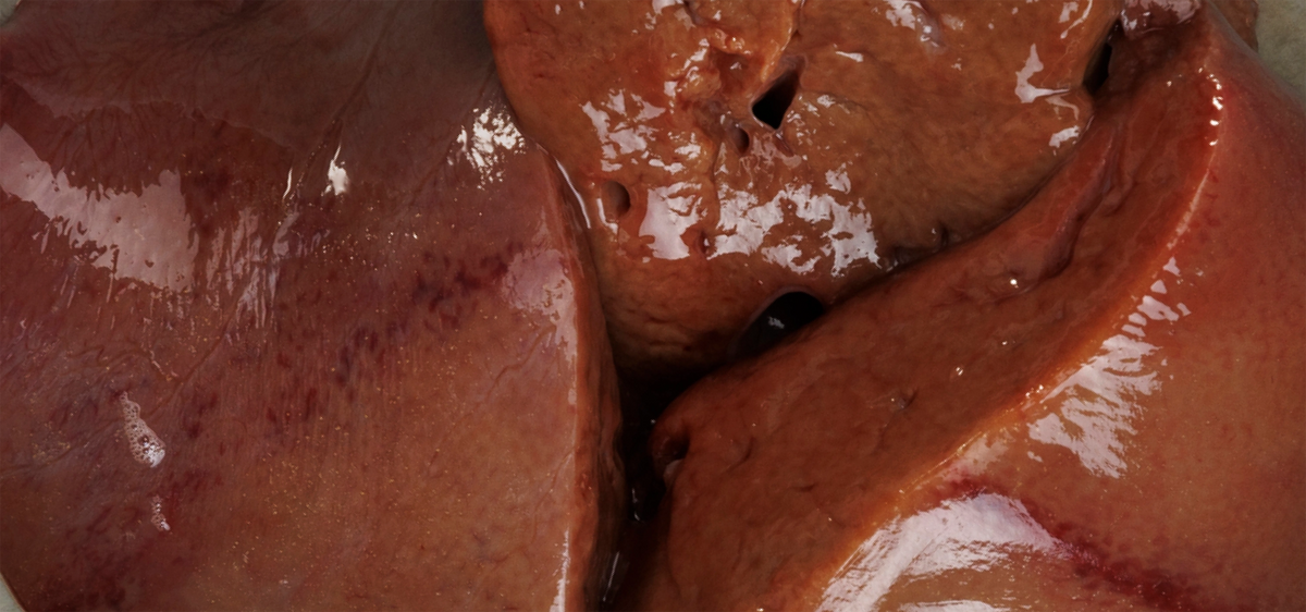 Lamb Liver