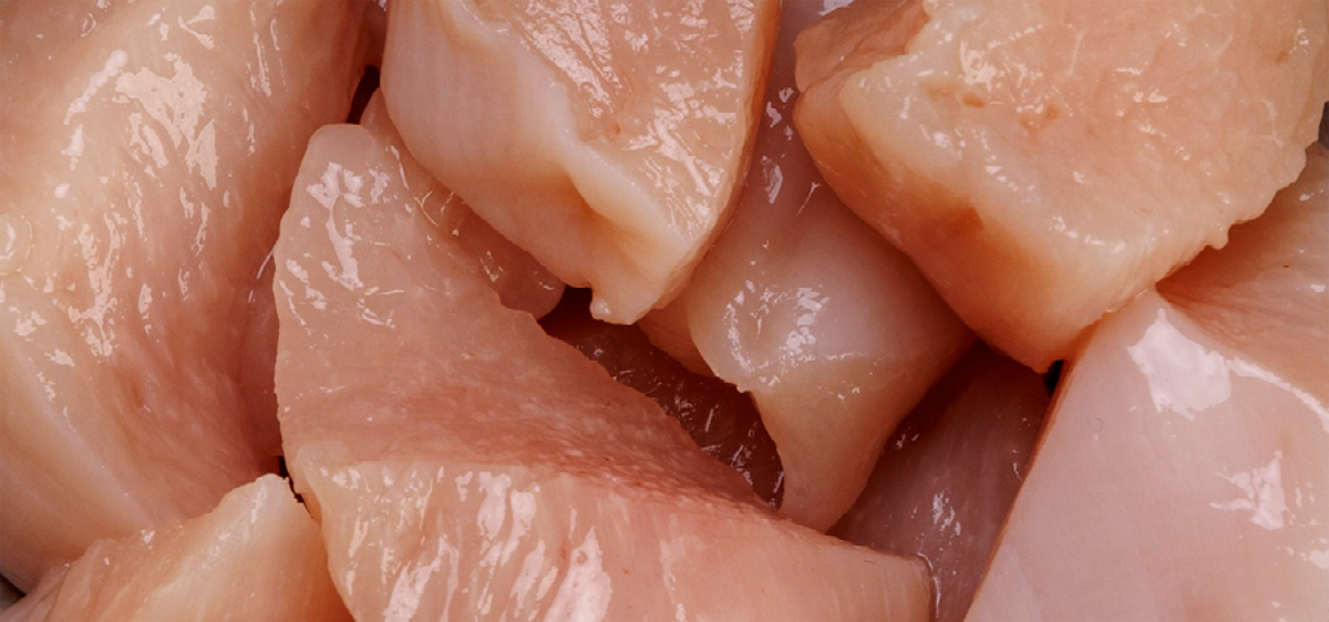 NZ Cage-free Chicken