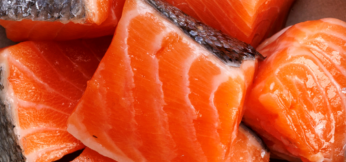 New Zealand King Salmon