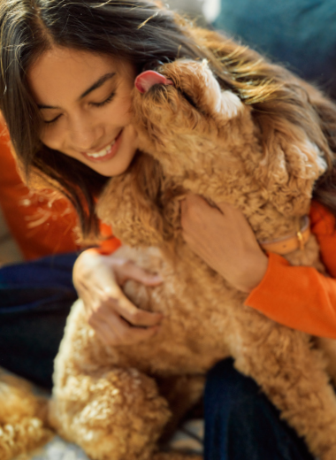 Best Selling Bundles