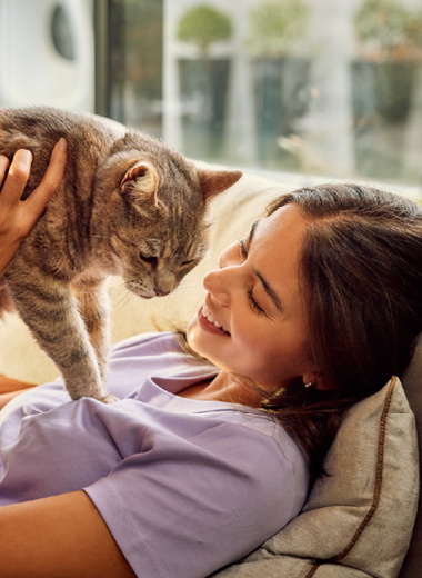 Best Selling Bundles