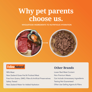 Beef & Hoki Feast Canned Cat Food