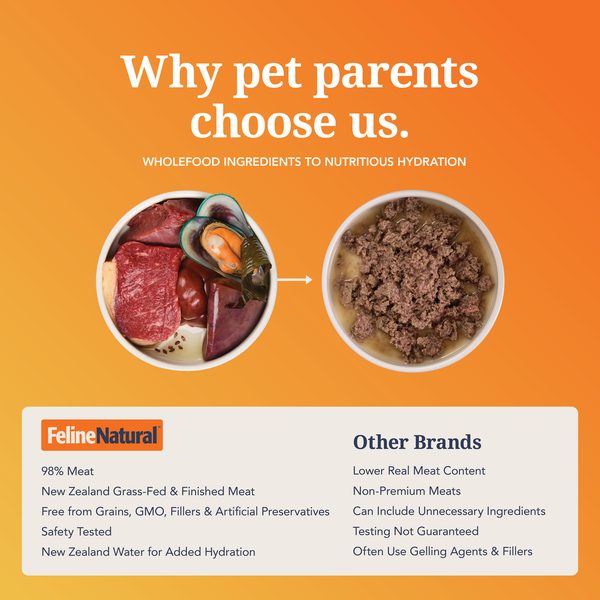 Beef & Hoki Feast Canned Cat Food