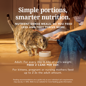 Chicken Feast Canned Cat Food
