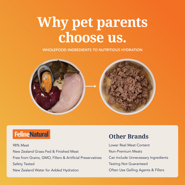 Chicken & King Salmon Feast Canned Cat Food