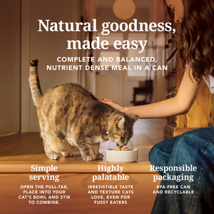 Chicken & Venison Feast Canned Cat Food