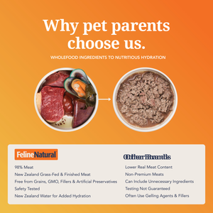 Lamb Feast Canned Cat Food