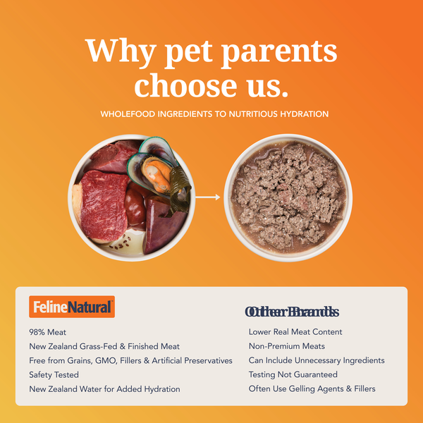 Lamb Feast Canned Cat Food