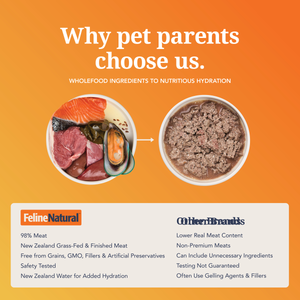 Lamb & King Salmon Feast Canned Cat Food