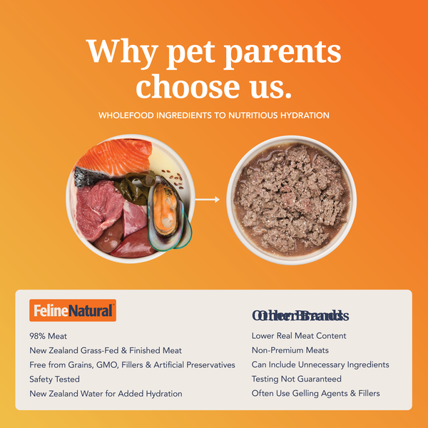 Lamb & King Salmon Feast Canned Cat Food