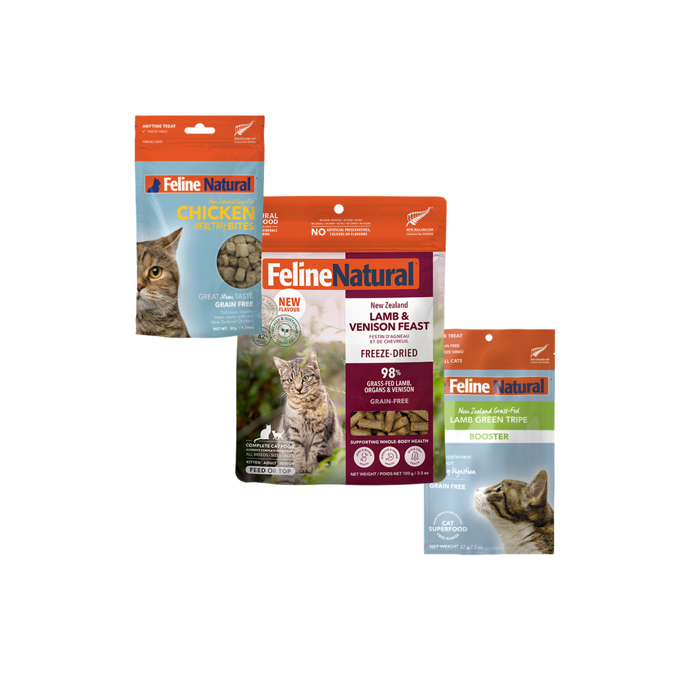 Digestive & Immune Support Bundle