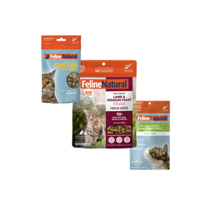 Digestive & Immune Support Bundle