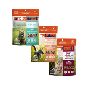 Skin & Coat Support Bundle