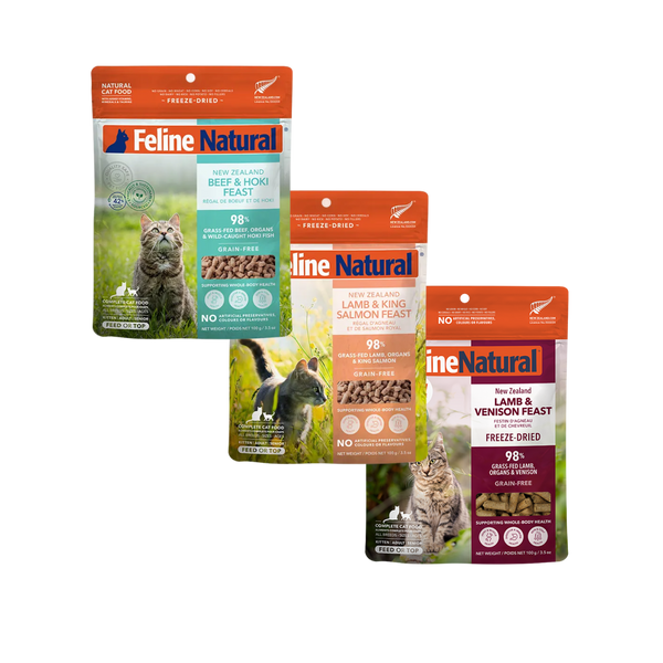 Skin & Coat Support Bundle