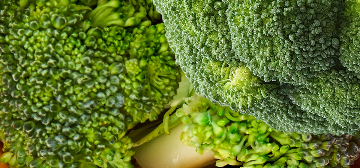 Broccoli