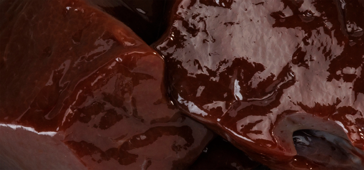 Beef Liver