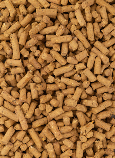 Transitioning to new pet food